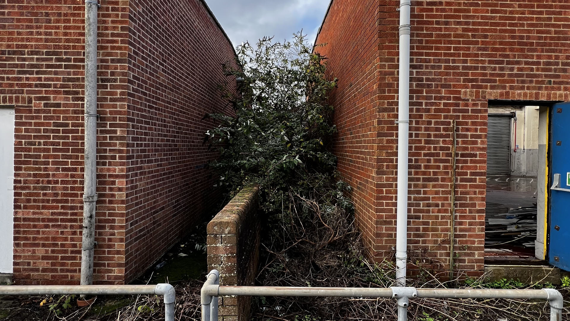 Who Should You Contact First — The Council, a Surveyor, or Your Neighbour Hitchin?